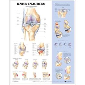 Knee Injuries, 20" x 26", Laminated